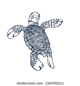 sea turtle small,vector illustration hand drawing