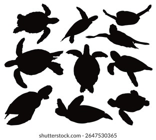 Sea turtle stencil template bundle isolated on white background. Black flat color simple elegant Aldabra Giant Tortoise animal vector and illustration. Beautiful tortoise walking and swimming.