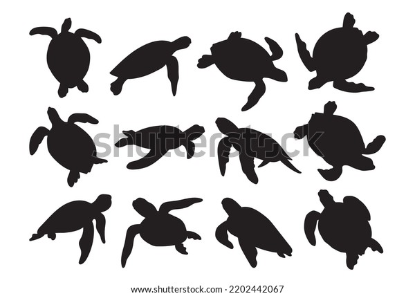 Sea Turtle Stencil Template Bundle Isolated Stock Vector (Royalty Free ...