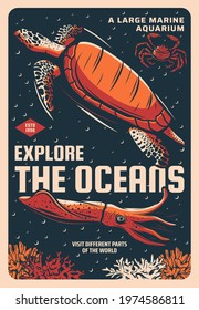 Sea Turtle, Stone Crab And Giant Squid In Marine Aquarium Sketch Vector Banner. Ocean Animals And Tropical Deep Sea Exotic Creatures, Oceanarium Wildlife Exhibition Vintage Poster
