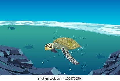 Sea turtle swimming in the sea