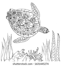 Sea turtle swimming among seaweed Coloring book. Hand drawing coloring book for children and adults. Beautiful drawings with patterns and small details. For anti-stress and children's coloring page,