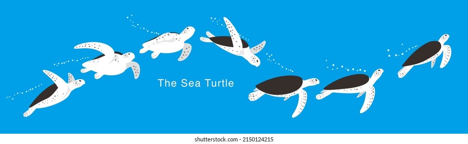 Sea Turtle swimming in the sea, a lot of swimming postures, swimming track