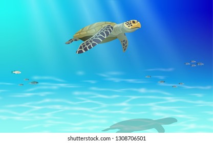 Sea turtle swimming at underwater in the sea