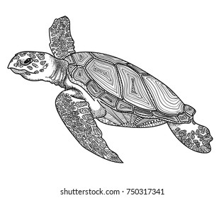 The sea turtle swims. Meditative coloring of antistress. Arrows, strips, scales, lines. Logo, print on the T-shirt. Children's painting, drawing by hand. 