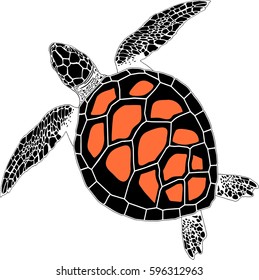 sea turtle in a three-colored coloring on the isolated background