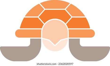 sea turtle turtle tortoise low animal