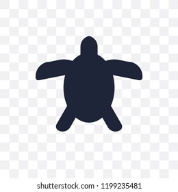 Sea turtle transparent icon. Sea turtle symbol design from Summer collection. Simple element vector illustration on transparent background.