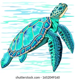 Sea Turtle Turquoise Oceanlife Vector Art 

