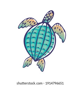 Sea Turtle Turquoise. Oceanlife Vector Art.  