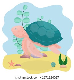 Sea turtle, underwater, aquarium composition with plant's, stones, seashell in vector design. Graphic illustration with wild reptiles. Colorful artwork.