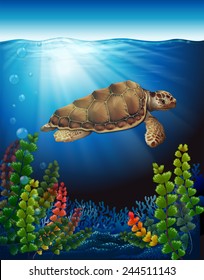 A sea turtle underwater near the seaweeds