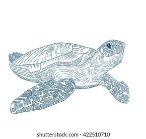 Turtle print poster digital download