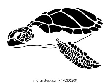 sea turtle, vector