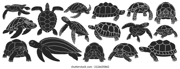 Sea turtle vector black set icon. Vector illustration tortoise on white background. Isolate black set icon sea turtle.