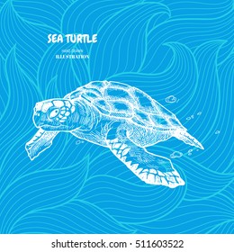 Sea turtle. Vector hand drawn illustration turtle on wave background