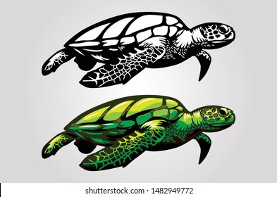 SEA TURTLE VECTOR HAND MADE ART DRAWING