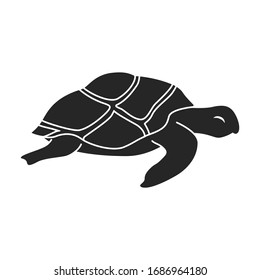Sea turtle vector icon.black vector icon isolated on white background sea turtle.