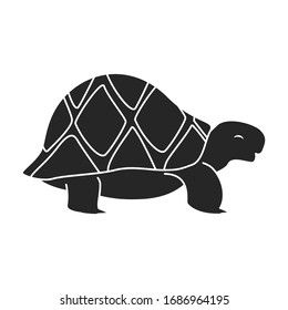 Sea turtle vector icon.black vector icon isolated on white background sea turtle.
