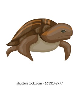 Sea turtle vector icon.Cartoon vector icon isolated on white background sea turtle.