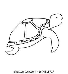 Sea turtle vector icon.Outline vector icon isolated on white background sea turtle.