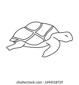Sea turtle vector icon.Outline vector icon isolated on white background sea turtle.