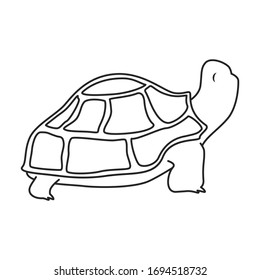 Sea turtle vector icon.Outline vector icon isolated on white background sea turtle.