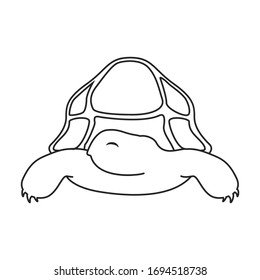 Sea turtle vector icon.Outline vector icon isolated on white background sea turtle.