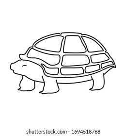 Sea turtle vector icon.Outline vector icon isolated on white background sea turtle.