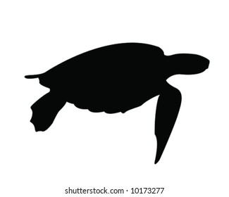 Sea Turtle Vector Illustration