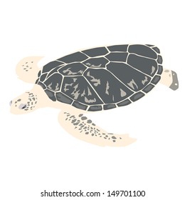 Sea turtle - vector illustration