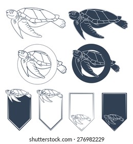 Sea turtle. Vector illustration