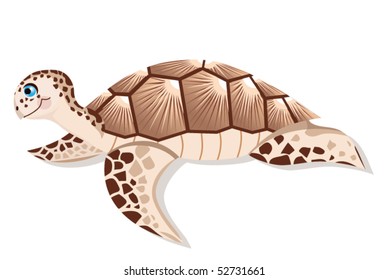 Turtle Shell Images, Stock Photos & Vectors | Shutterstock