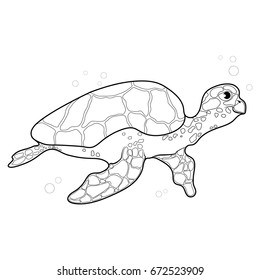Sea turtle. Vector illustration. Cartoon image of a turtle.