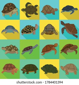 Sea turtle vector illustration on white background .Tortoise of animal vector flat set icon. Isolated flat set icon sea turtle .