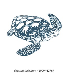 Sea Turtle vector isolated on white background. Reptile. Animals. Line art. Marine life