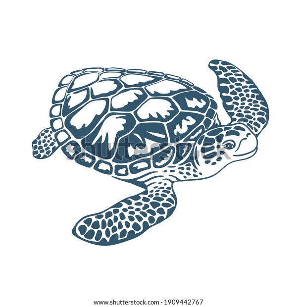 Sea Turtle Vector Isolated On White Stock Vector (Royalty Free ...