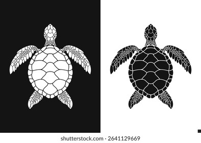 Sea turtle vector. Sea life 