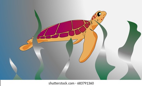 Sea turtle vectors