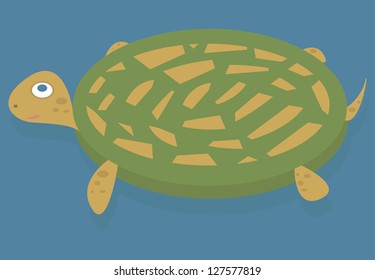 sea turtle in water