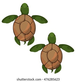 Sea turtles. Clipart on the marine theme. Animal protection.