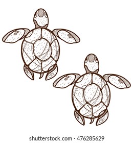 Sea turtles. Clipart on the marine theme. Animal protection.