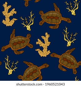 sea turtles and corals. Childrens sea background. Underwater world and aquarium.