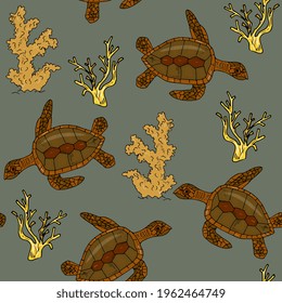 sea turtles and corals. Childrens sea background. Underwater world and aquarium.
