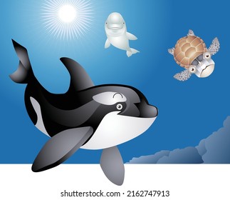 Sea turtles, killer whales, white dolphins, and other marine animals.vector illustration