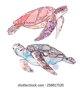 Sea turtles. Ocean vector.