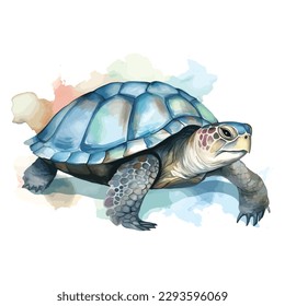 Sea turtles. Ocean vector. Watercolor hand drawn sea turtle isolated on a white background wallpaper. Cartoon animal vector illustration art