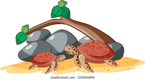 Sea turtles on white background illustration