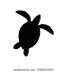 sea turtles sihlouette vector design