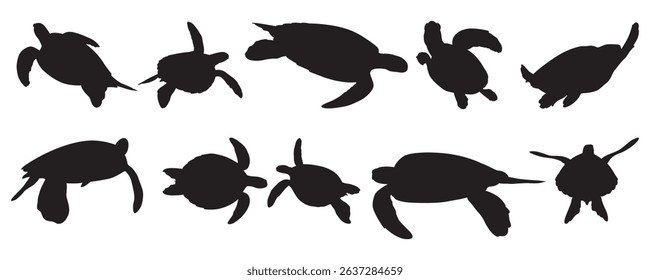 Sea turtles silhouetted swimming in formation a marine ballet of ocean life